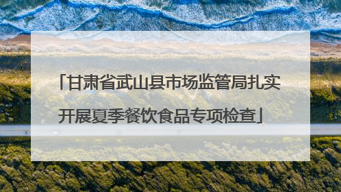 甘肃省武山县市场监管局扎实开展夏季餐饮食品专项检查