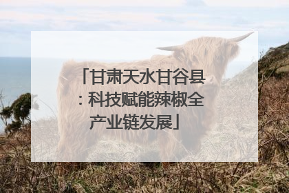 甘肃天水甘谷县：科技赋能辣椒全产业链发展