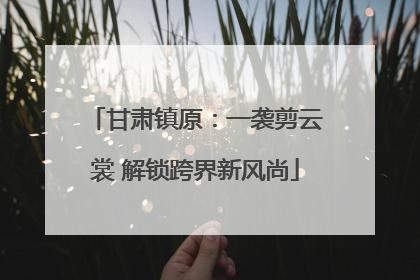 甘肃镇原：一袭剪云裳 解锁跨界新风尚