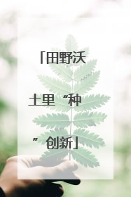 田野沃土里“种”创新