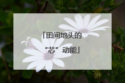 田间地头的“芯”动能