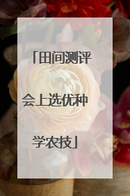 田间测评会上选优种学农技