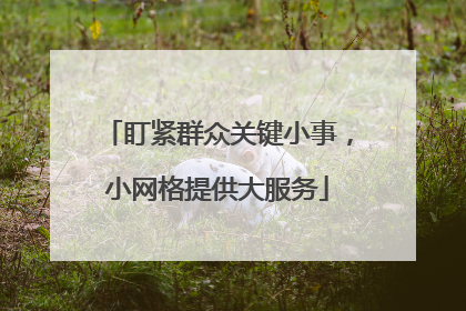 盯紧群众关键小事，小网格提供大服务