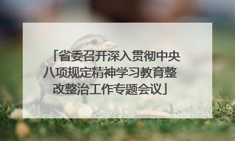 省委召开深入贯彻中央八项规定精神学习教育整改整治工作专题会议