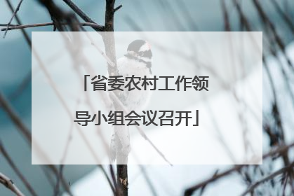 省委农村工作领导小组会议召开