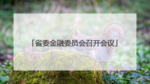 省委金融委员会召开会议