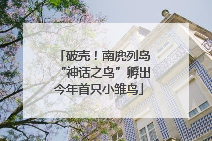 破壳！南麂列岛“神话之鸟”孵出今年首只小雏鸟