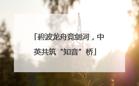 碧波龙舟竞剑河，中英共筑“知音”桥