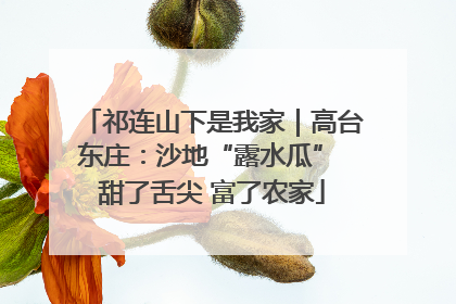 祁连山下是我家｜高台东庄：沙地“露水瓜” 甜了舌尖 富了农家