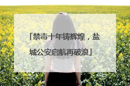 禁毒十年铸辉煌，盐城公安启航再破浪