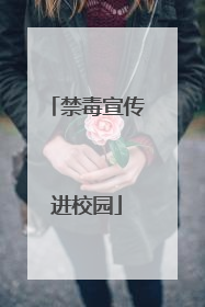 禁毒宣传进校园