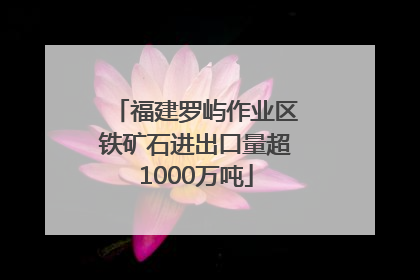 福建罗屿作业区铁矿石进出口量超1000万吨
