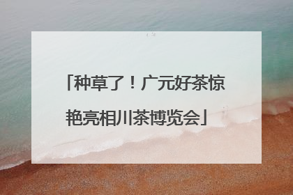 种草了！广元好茶惊艳亮相川茶博览会
