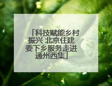 科技赋能乡村振兴 北京住建委下乡服务走进通州西集