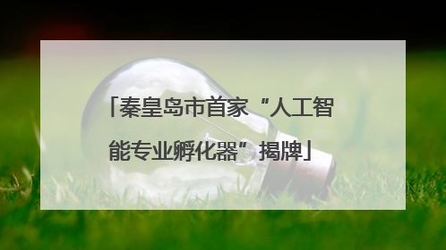 秦皇岛市首家“人工智能专业孵化器”揭牌
