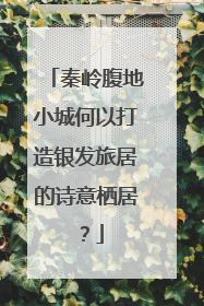 秦岭腹地小城何以打造银发旅居的诗意栖居？