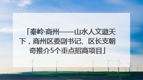 秦岭·商州——山水人文邀天下，商州区委副书记、区长支朝奇推介5个重点招商项目