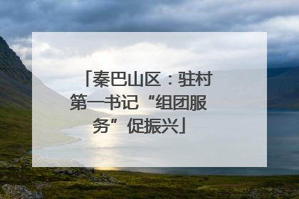 秦巴山区：驻村第一书记“组团服务”促振兴