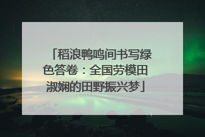 稻浪鸭鸣间书写绿色答卷：全国劳模田淑娴的田野振兴梦