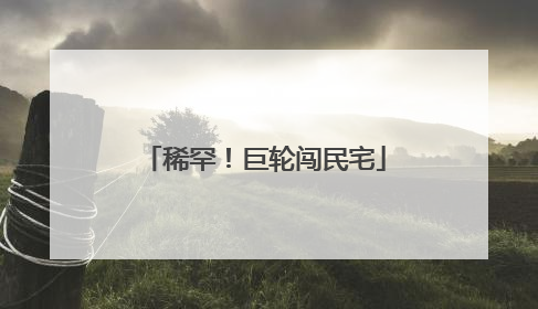 稀罕！巨轮闯民宅