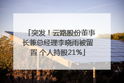 突发！云路股份董事长兼总经理李晓雨被留置 个人持股21%
