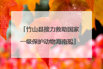 竹山县接力救助国家一级保护动物海南鳽