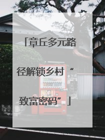章丘多元路径解锁乡村“致富密码”