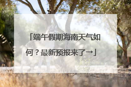 端午假期海南天气如何？最新预报来了→
