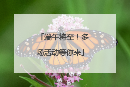 端午将至！多场活动等你来