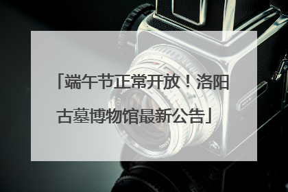 端午节正常开放！洛阳古墓博物馆最新公告