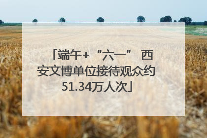 端午+“六一” 西安文博单位接待观众约51.34万人次