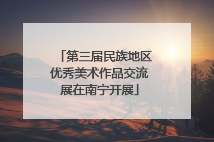 第三届民族地区优秀美术作品交流展在南宁开展