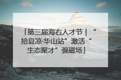 第三届海右人才节｜“拾夏凉·华山站”激活“生态聚才”强磁场