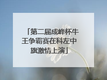 第二届成峰杯牛王争霸赛在科左中旗激情上演