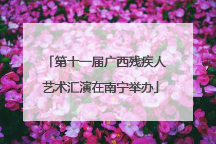 第十一届广西残疾人艺术汇演在南宁举办