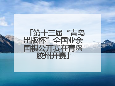 第十三届“青岛出版杯”全国业余围棋公开赛在青岛胶州开赛