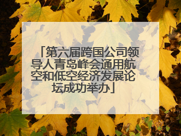 第六届跨国公司领导人青岛峰会通用航空和低空经济发展论坛成功举办
