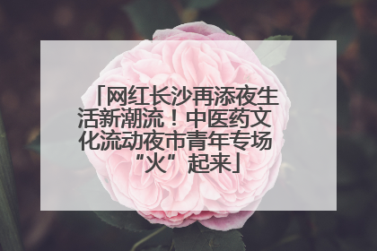 网红长沙再添夜生活新潮流！中医药文化流动夜市青年专场“火”起来