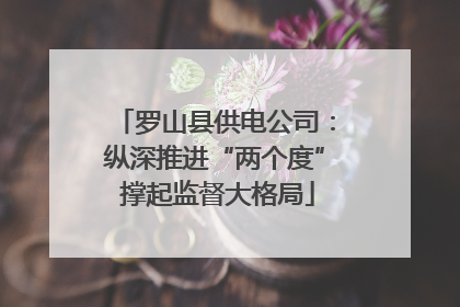 罗山县供电公司：纵深推进“两个度” 撑起监督大格局
