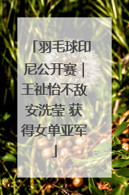 羽毛球印尼公开赛｜王祉怡不敌安洗莹 获得女单亚军