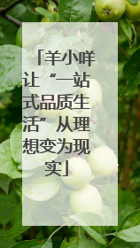 羊小咩让“一站式品质生活”从理想变为现实