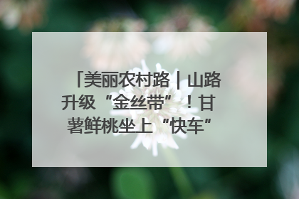 美丽农村路｜山路升级“金丝带”！甘薯鲜桃坐上“快车”，开去大市场