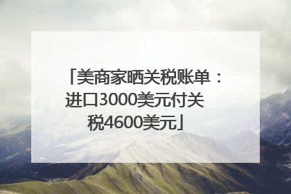 美商家晒关税账单：进口3000美元付关税4600美元