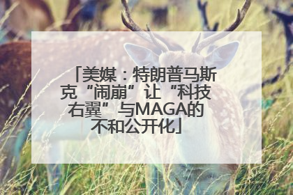 美媒：特朗普马斯克“闹崩”让“科技右翼”与MAGA的不和公开化