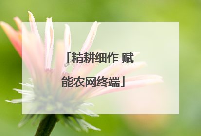 精耕细作 赋能农网终端