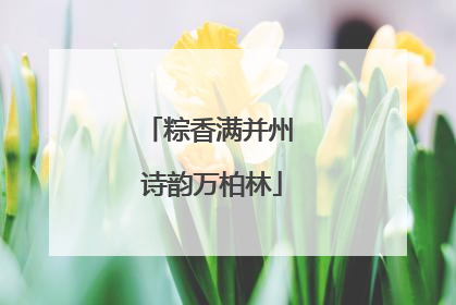 粽香满并州 诗韵万柏林