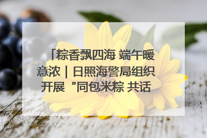 粽香飘四海 端午暖意浓｜日照海警局组织开展“同包米粽 共话端午”系列活动