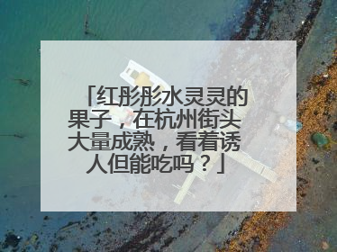 红彤彤水灵灵的果子，在杭州街头大量成熟，看着诱人但能吃吗？
