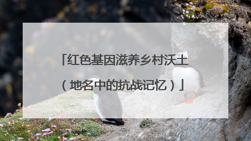 红色基因滋养乡村沃土（地名中的抗战记忆）