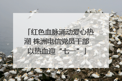 红色血脉涌动爱心热潮 株洲电信党员干部以热血迎“七一”